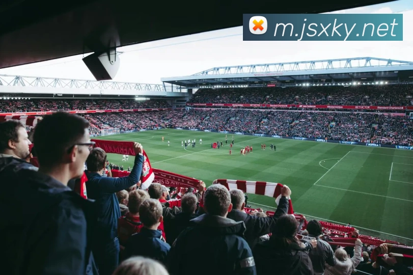 开元棋牌APP 封面图